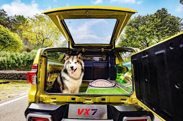 063a092ad9b0540e1cb0035b5fce771